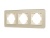 Рамка стеклянная FRM-OMALI-GS-3-GD