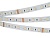 Светодиодная лента RTW-PS-B60-14mm (19.2 W/m, IP67, 5060, 5m)