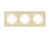 Рамка алюминиевая FRM-AKIRY-SFAL-3-GD